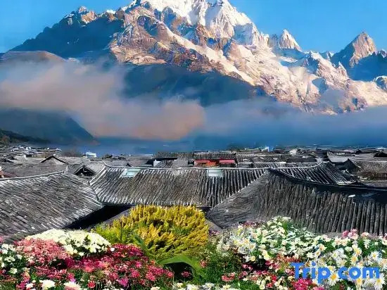 Yuexin Lodge | Italian Luxury & Elegance Art Space · Smart Designer Homestay (Lijiang Old Town)