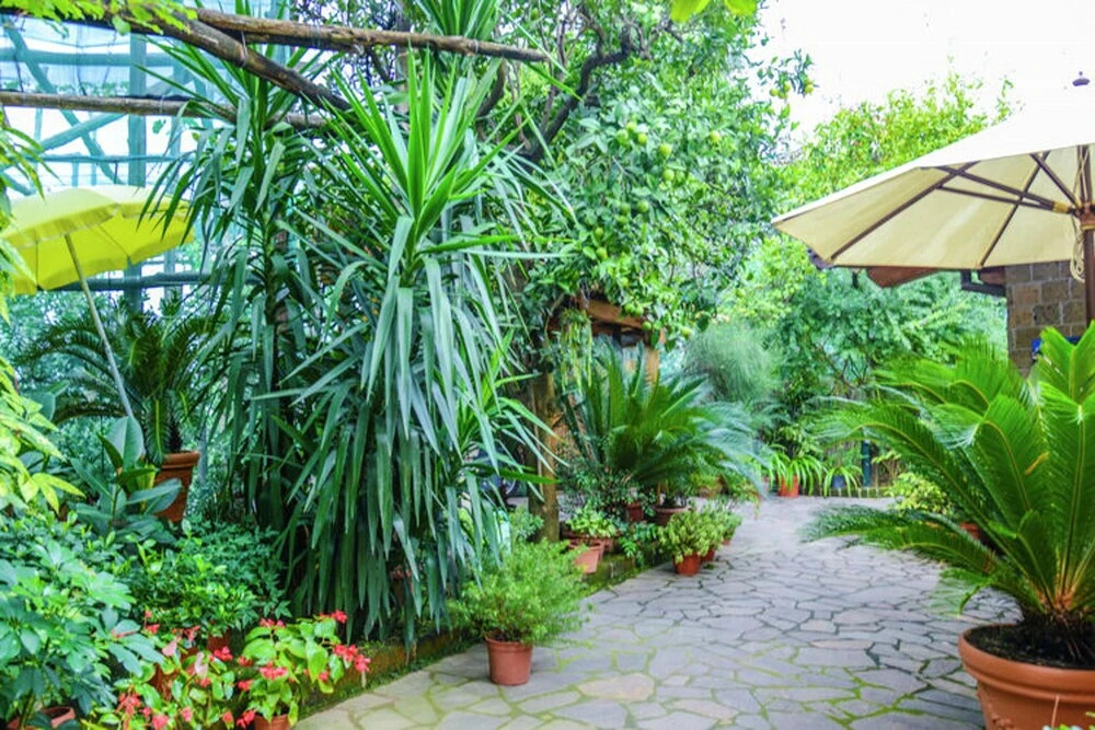 Studio in Sorrento, with Wonderful Sea View, Furnished Garden And Wifi - 1 Km From the Beach