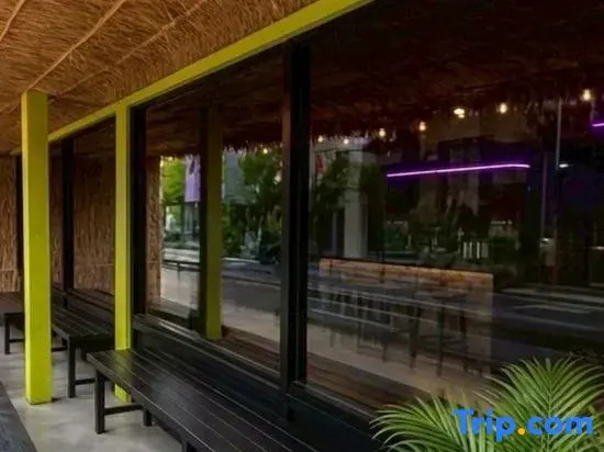 Discozoo BAR and HOSTEL