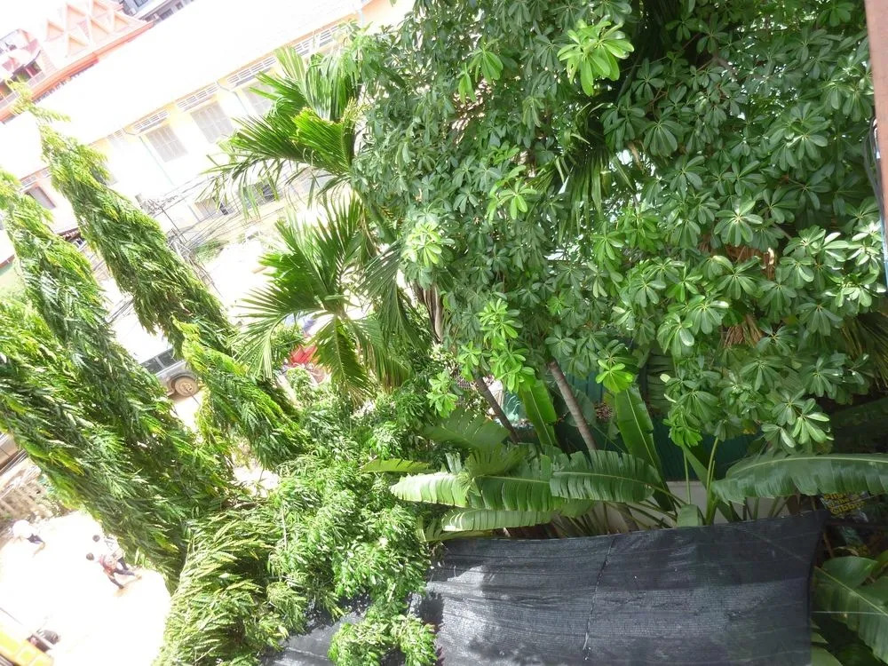 Angkor Reas Guesthouse
