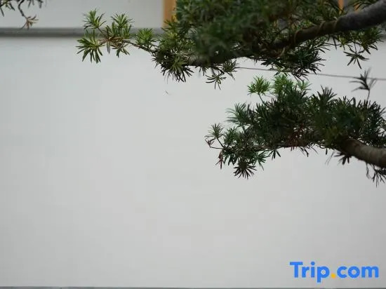 Wuyi Mountain Yuewuyi Tea Life Aesthetics Hotel