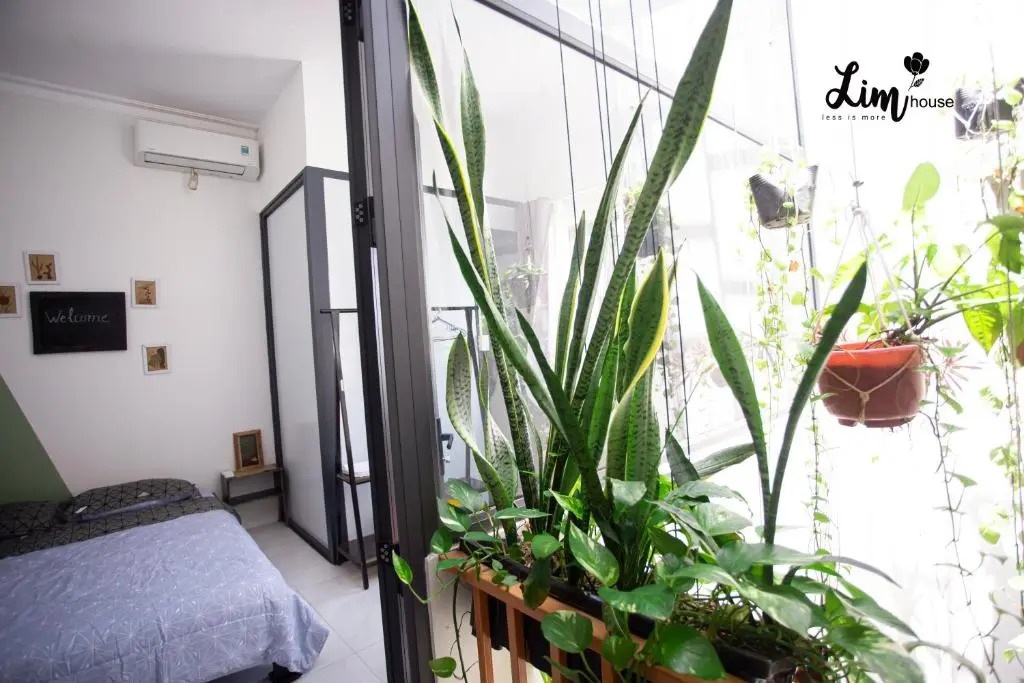 LIM Homestay