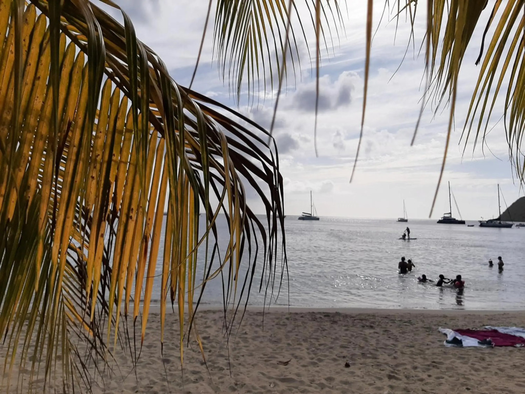 Appartement le Marin mit Meerblick