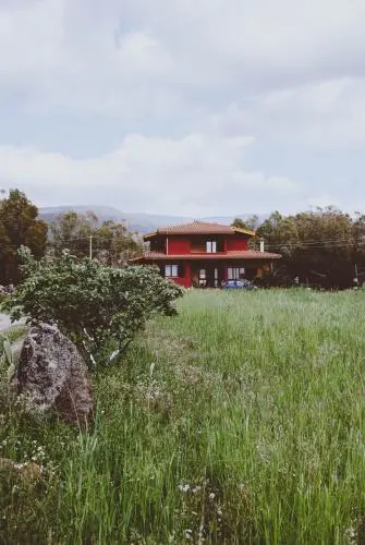 Terra e Paglia