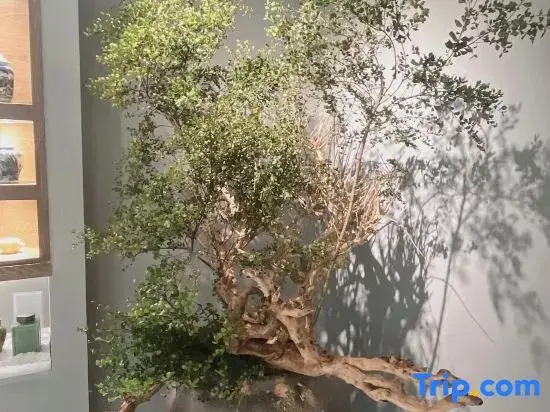 Taoshe Resort Hotel (Jingdezhen China Ceramics Museum Ancient Kiln Branch)