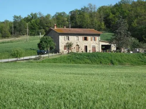 B&B Poderone