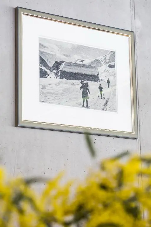 Nova Casa Spinatscha Sedrun