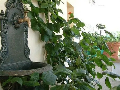 Antica Locanda Porta Terra