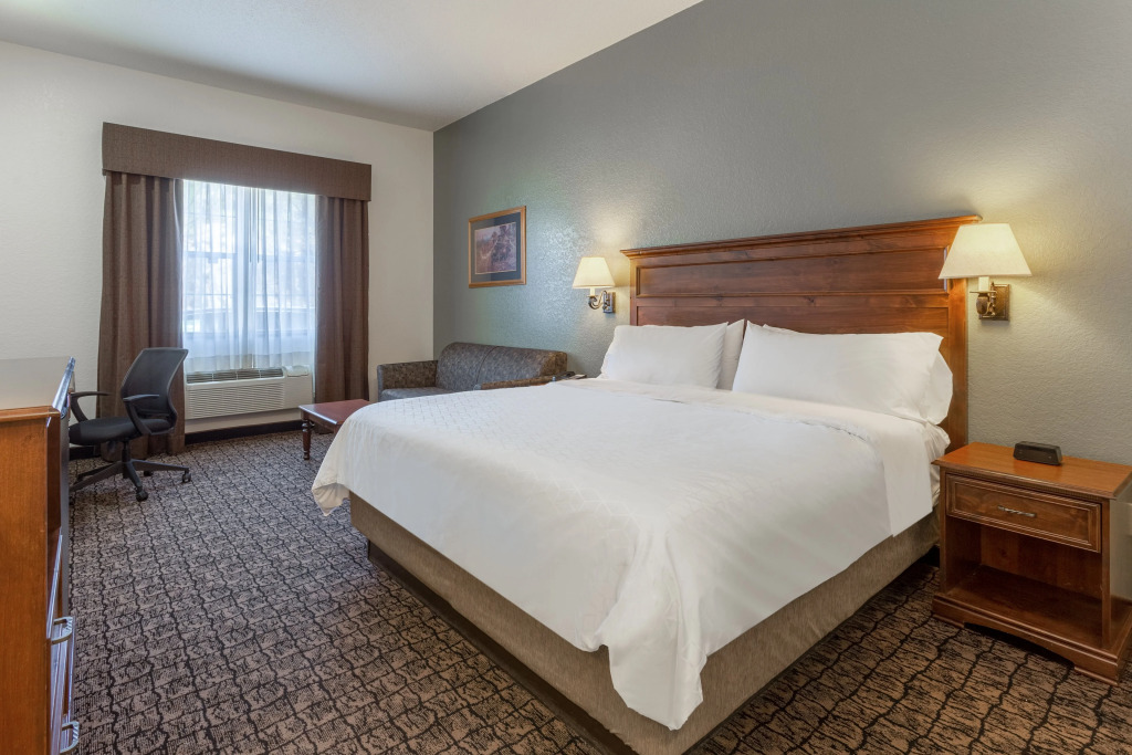 Comfort Inn & Suites Mt Rushmore