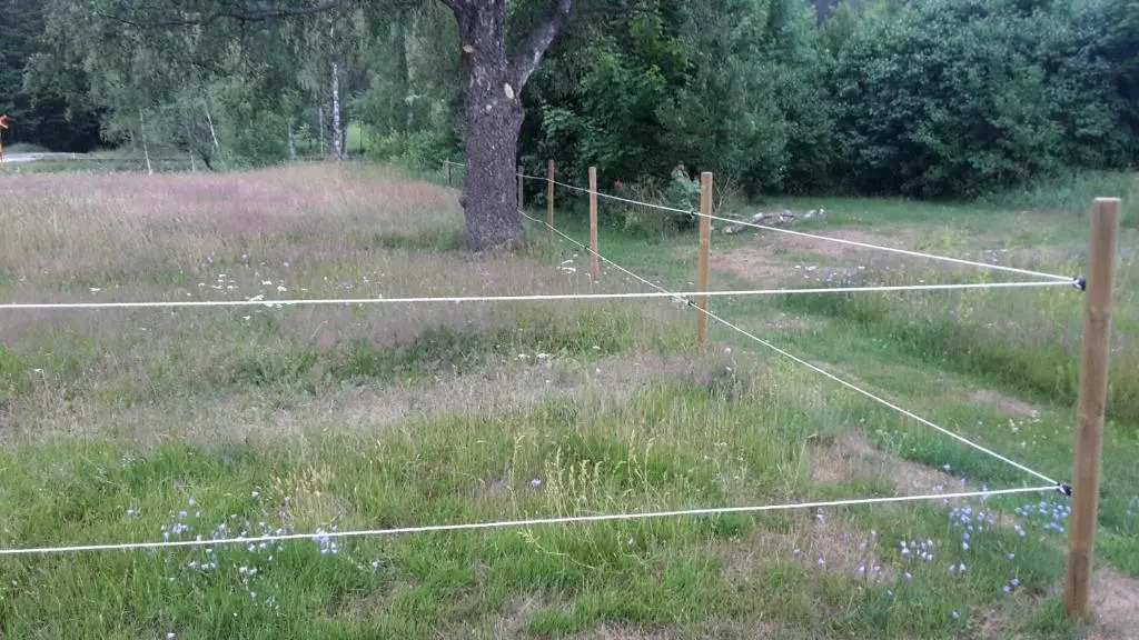 Bjärkeryd Södergård Bed & Stable