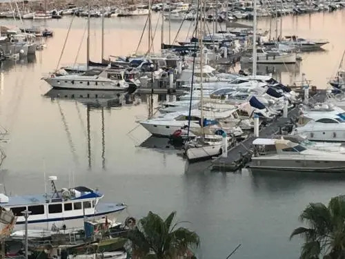 L'excelsior