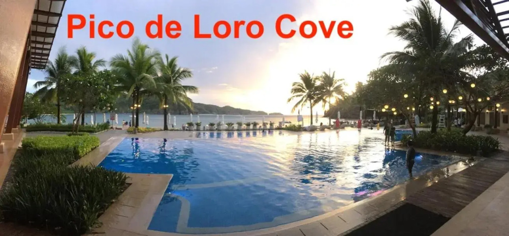 2BR townhouses good for 12pax each & NETFLIX & 100Mbps WIFI & pool resort 2min walk & 3km outside Pico de Loro Cove & Calayo Cove - with Endorsement for Pico de Loro Cove good for 7 days & Boat-Tour & Island Hopping assistance