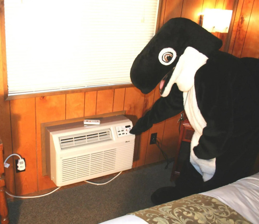 The Orca Inn