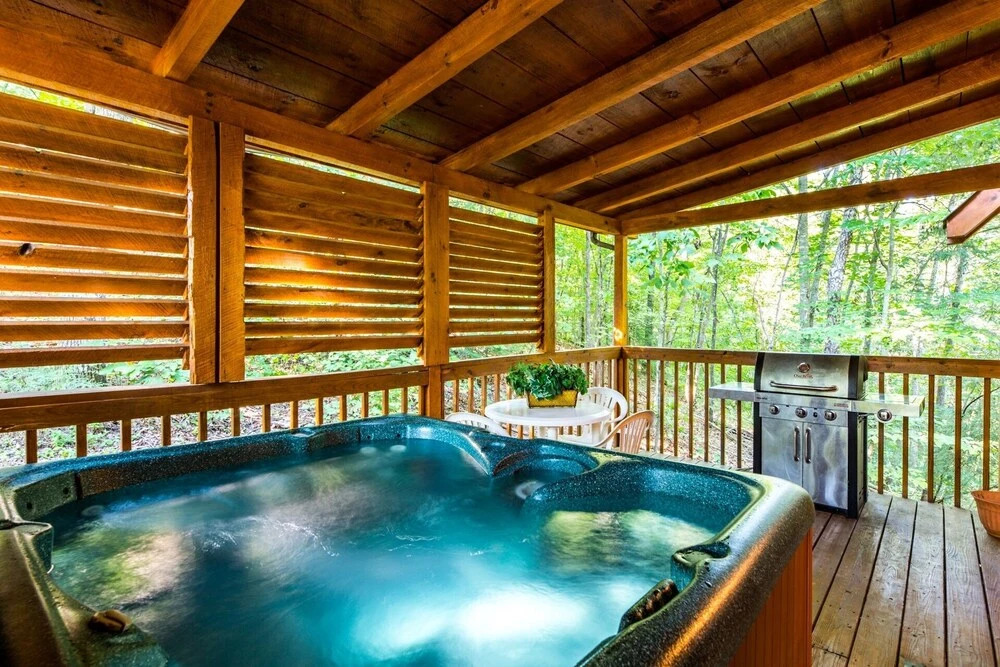 Er27- Bear Naked - Great Location- Close To Town 2 Bedroom Cabin by RedAwning