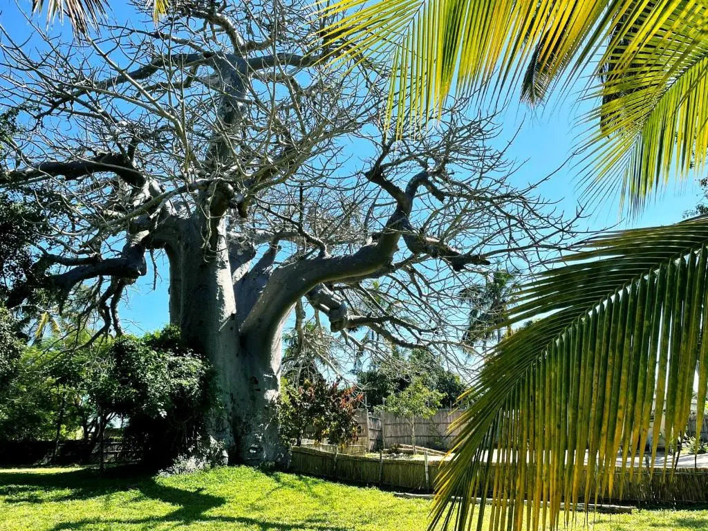 Baobab Beach Resort and Backpackers