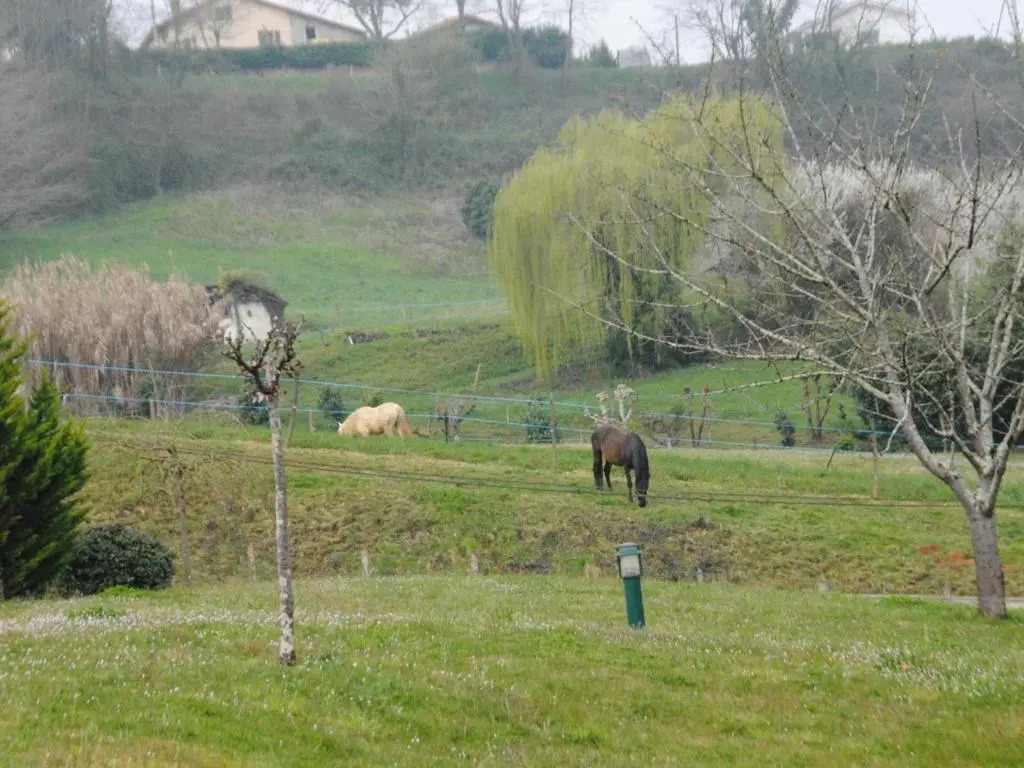 House Albret