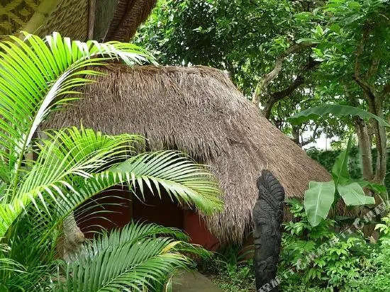 Mikelanjelo Villa