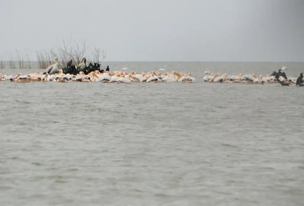 Circuit Zona Mahmudia - Sulina