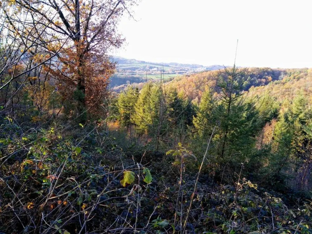 Votre Horizon