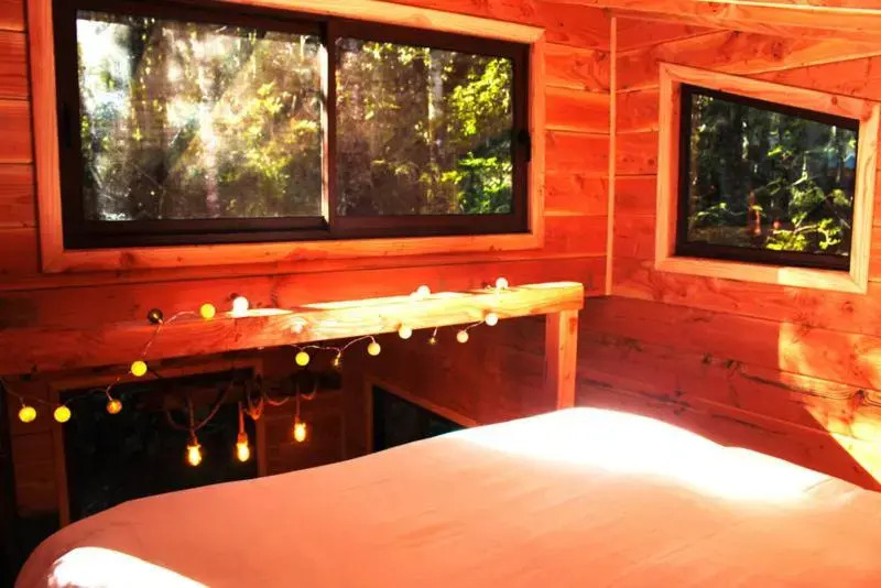 Cabañas Bosque Milenario