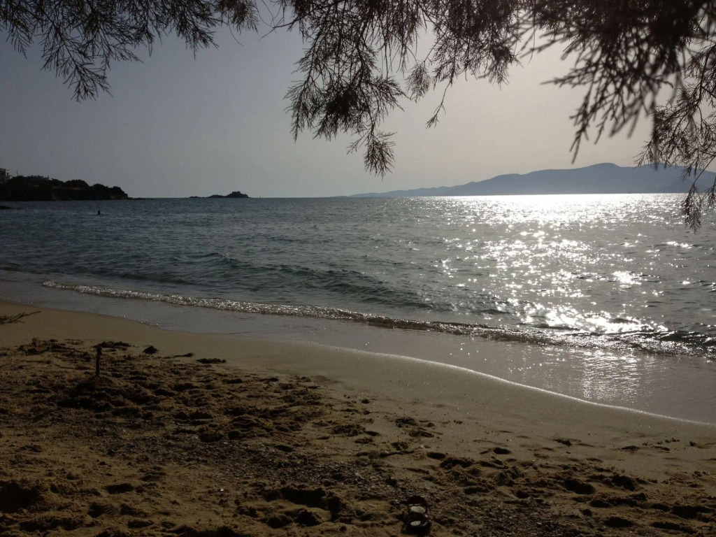 Depis Plaka Studios Naxos