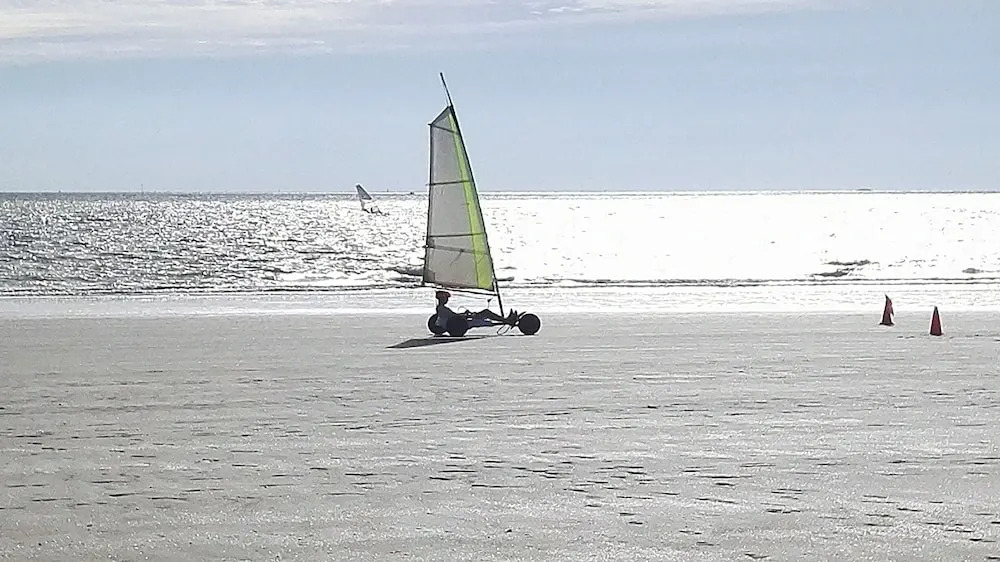 Le Plessis Grimaud