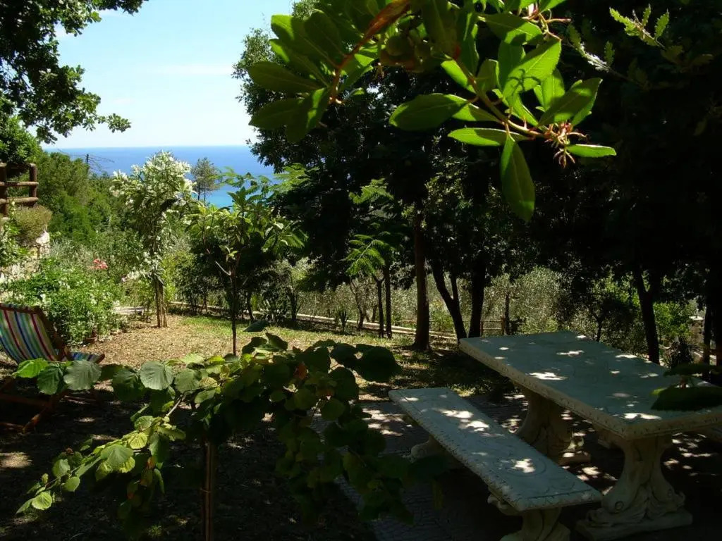 Ariabuona