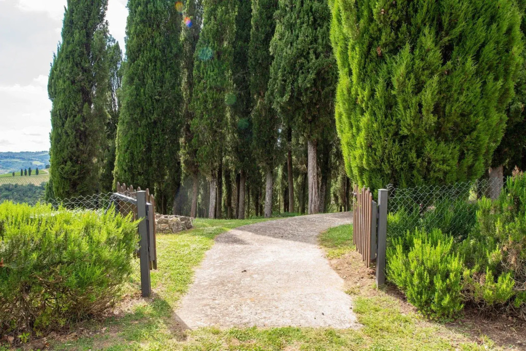Il Nibbio