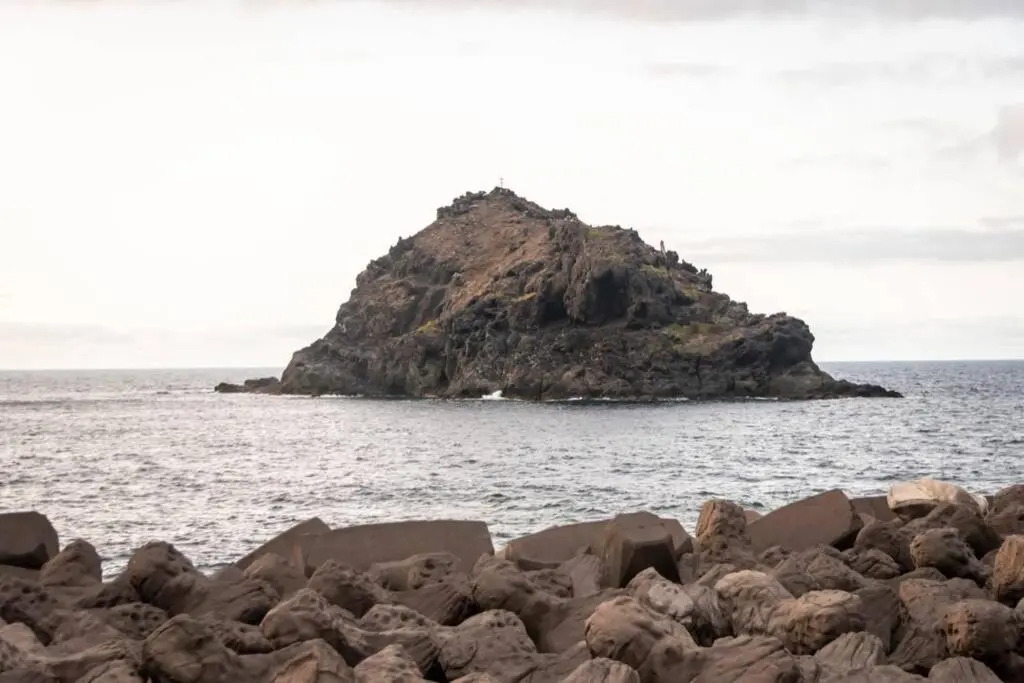 Salsalitre Chico