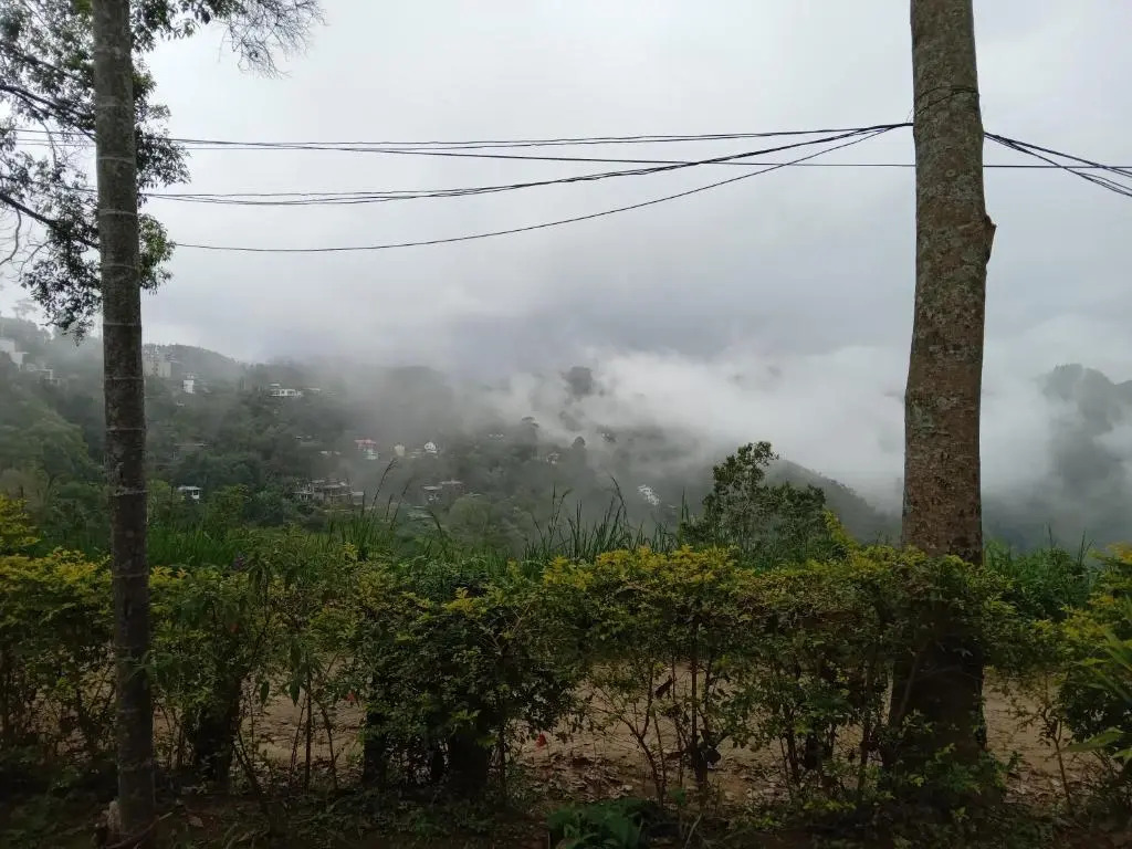 Ella Infinity View