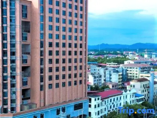 Vienna International Hotel（Chenzhou Anren）