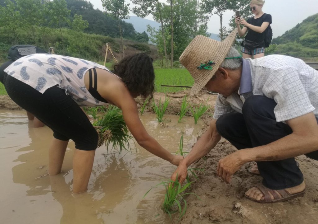 张家界集结号公馆 Zhangjiajie Jijiehao Inn Avator Mountin-National Park-East Gate, Meeting Friends-Common Area-Poor teble-COFFEE-BEER-Laundry-Party, FREE Breakfast, Book tickets in advance, Chinese Calligraphy&Tea&Kung Fu Course