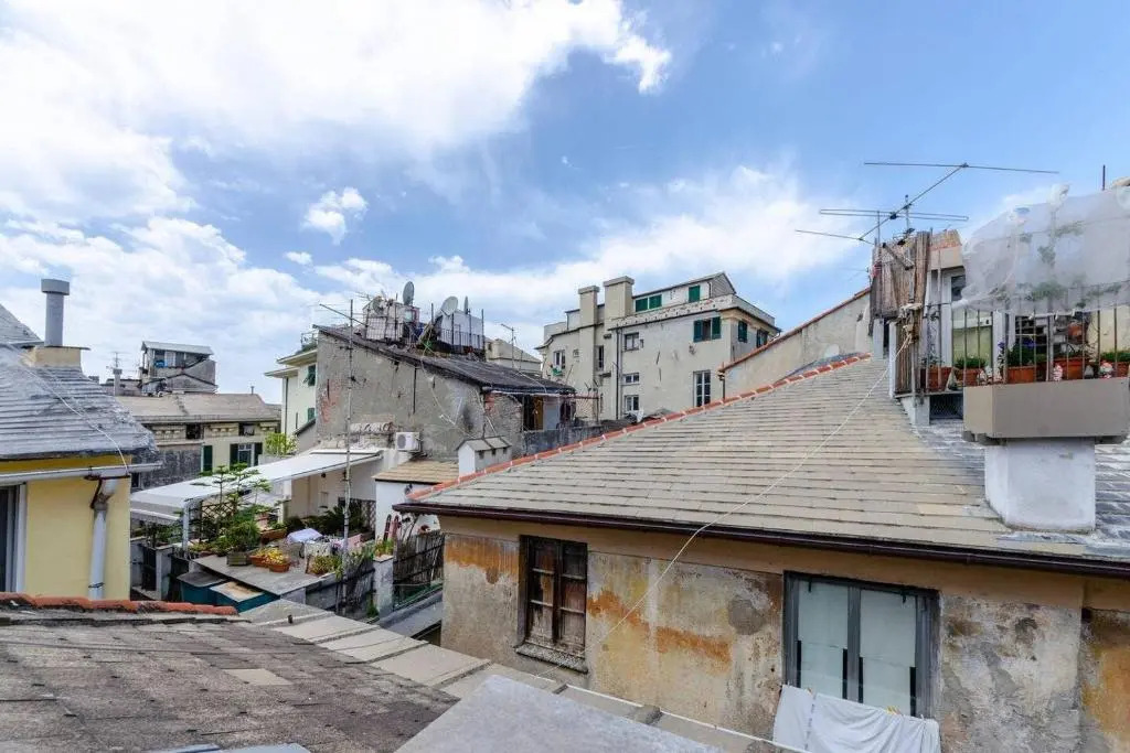 Castelli's apartment for your holidays 15