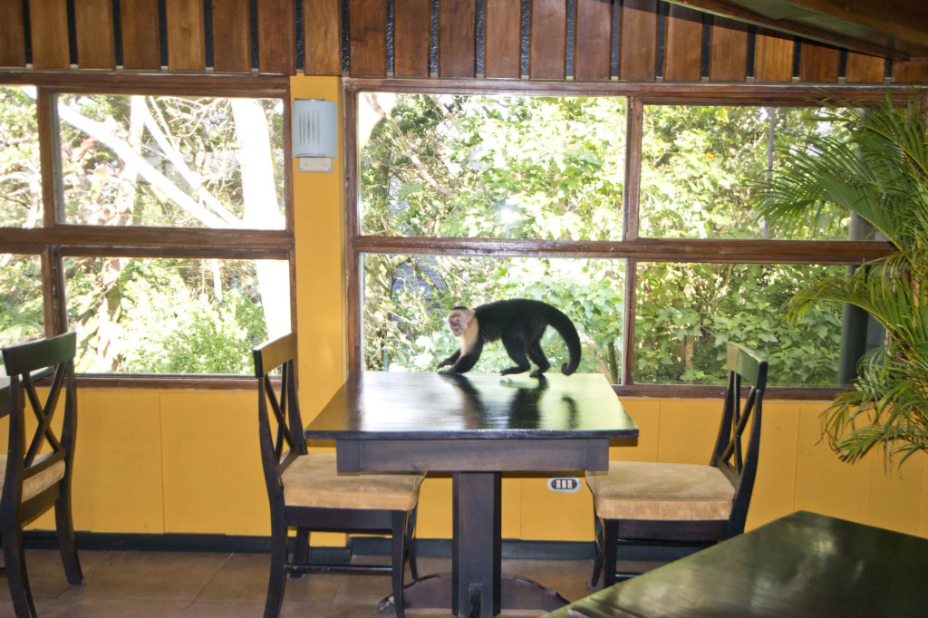 Monteverde Lodge by Böëna