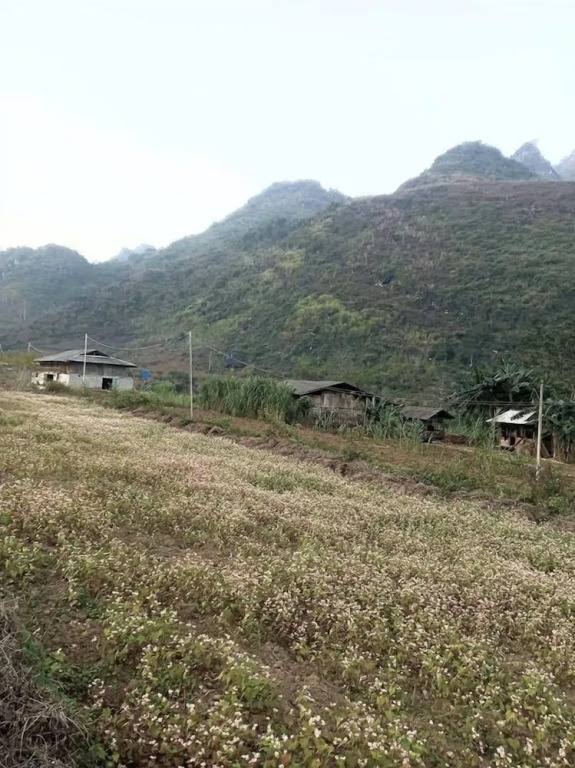 GG Du Gia Homestay
