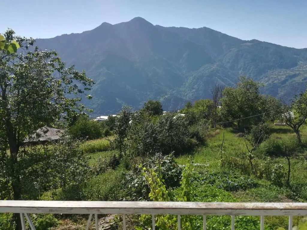Txilaziri Guest House