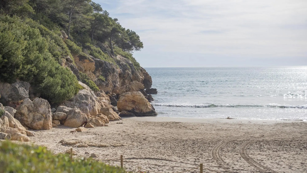 TH29-Playa-La-Mora in Tarragona