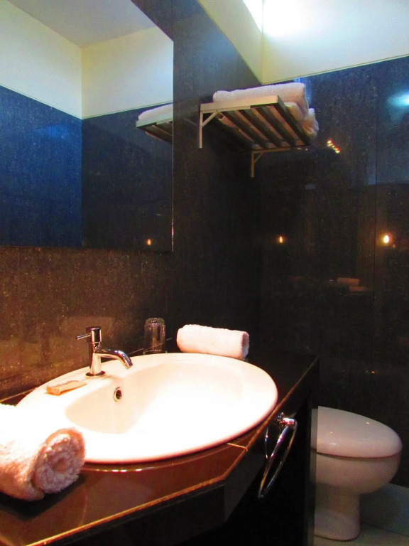 Palau Amazonas Hotel