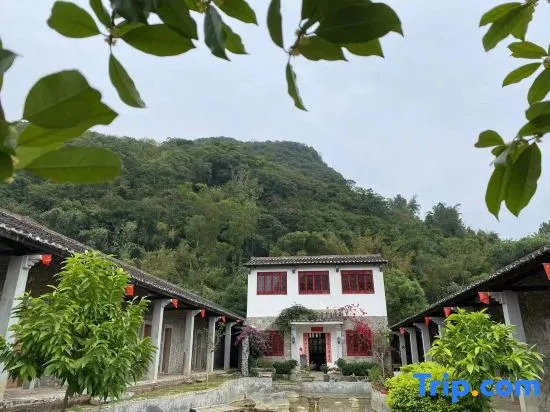 Yingde 25℃ Shizhu Homestay (Yingxi Fenglin Corridor Branch)