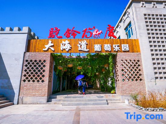 Theme Hotel Turpan Camel Bell Winery