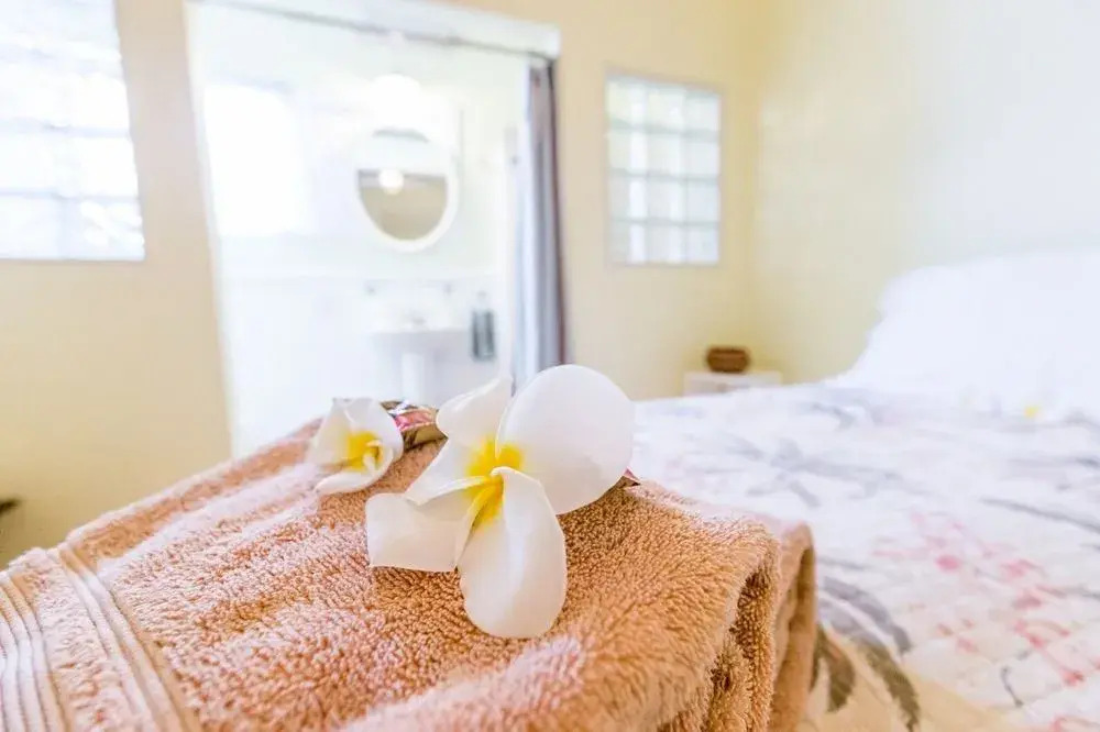 Nalu Kai Lodge Paia