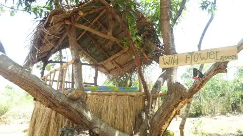 Wild Flower Resort