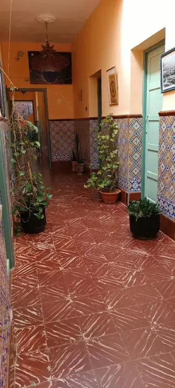 Suerte Loca