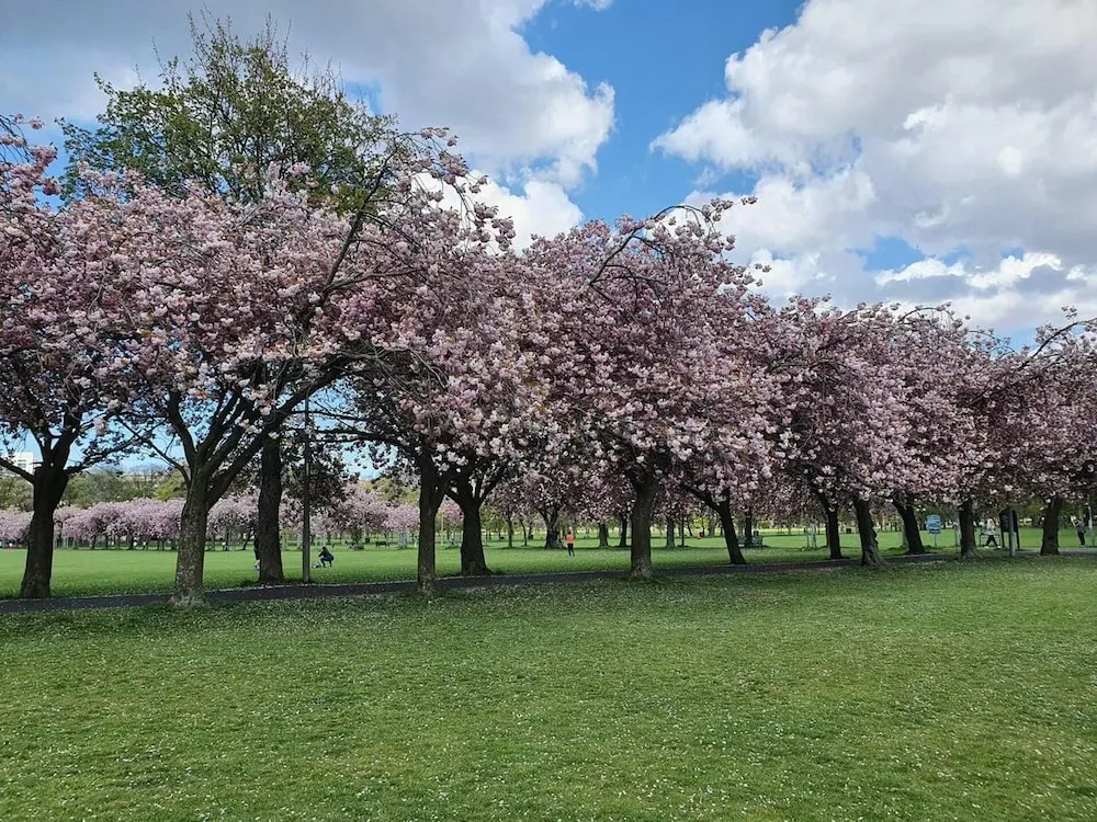Lovely 2 Bedroom Flat in the Heart of the City
