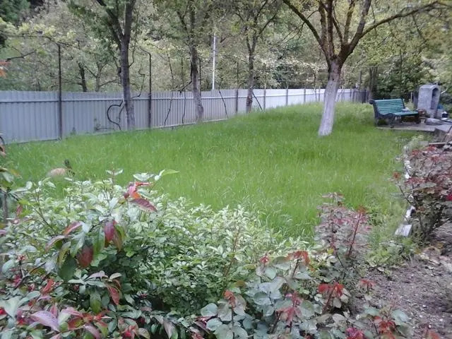 Iraklis Homestay