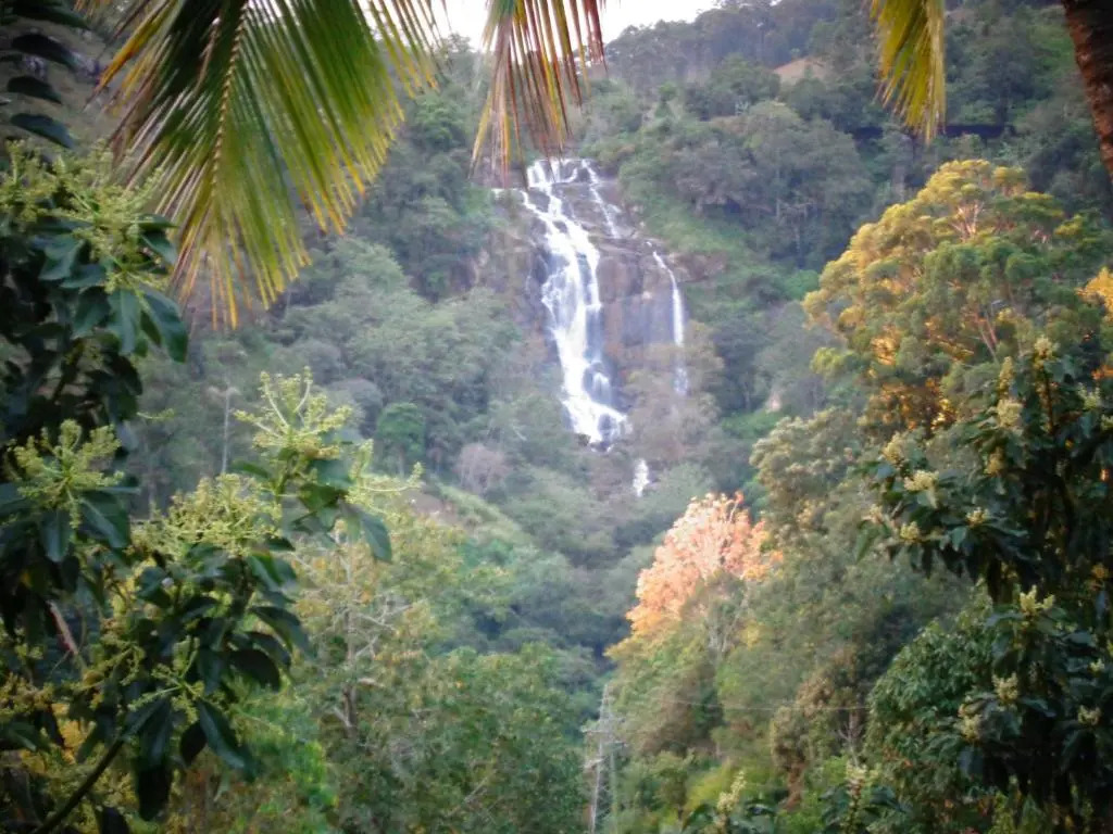 Brilliant View Home Stay
