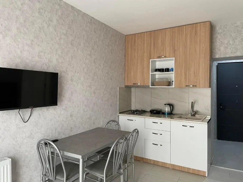 1-bedroom appartment in the centre of bakuriani 2