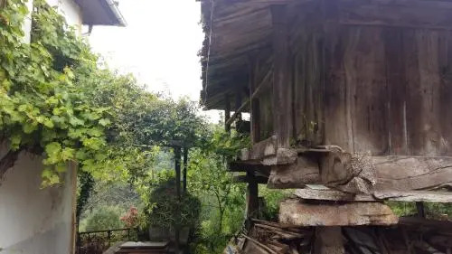 El Requexu de Cervera