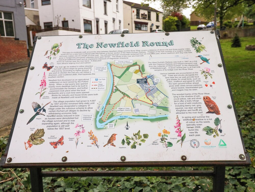 Newfield Apartment