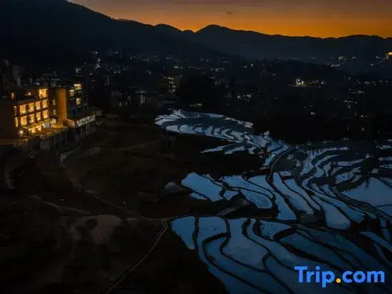 Rice Field Ideal | Blue Terraced Fields Panoramic View Homestay